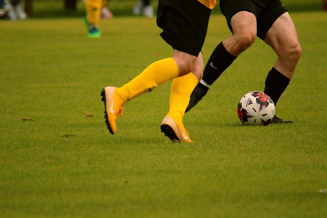 不来梅全场 不来梅全场